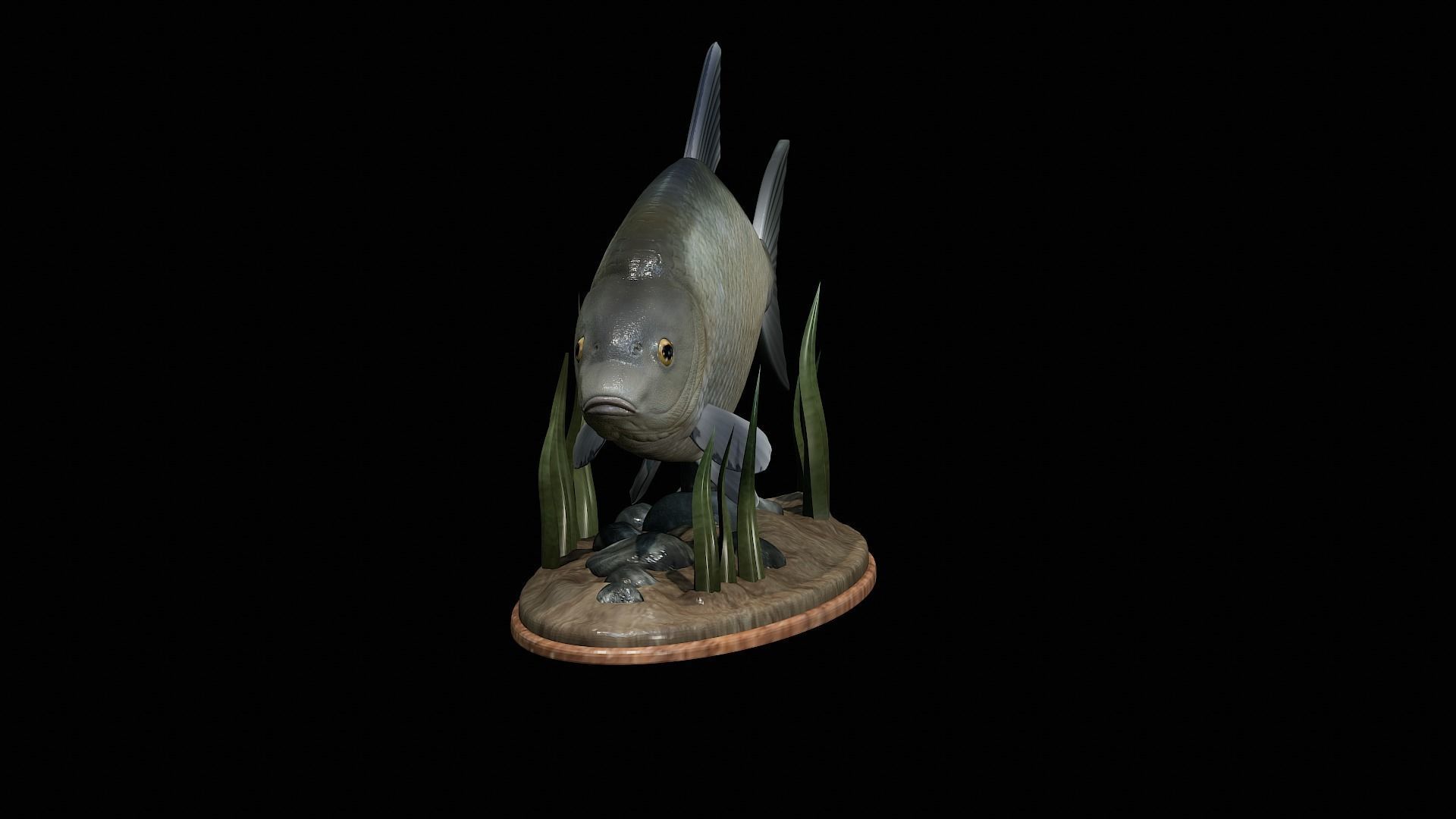 fish Common bream statue underwater detailed texture 3D print model_19
