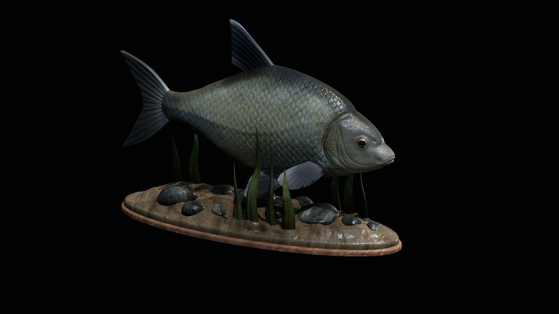 fish Common bream statue underwater detailed texture 3D print model_22