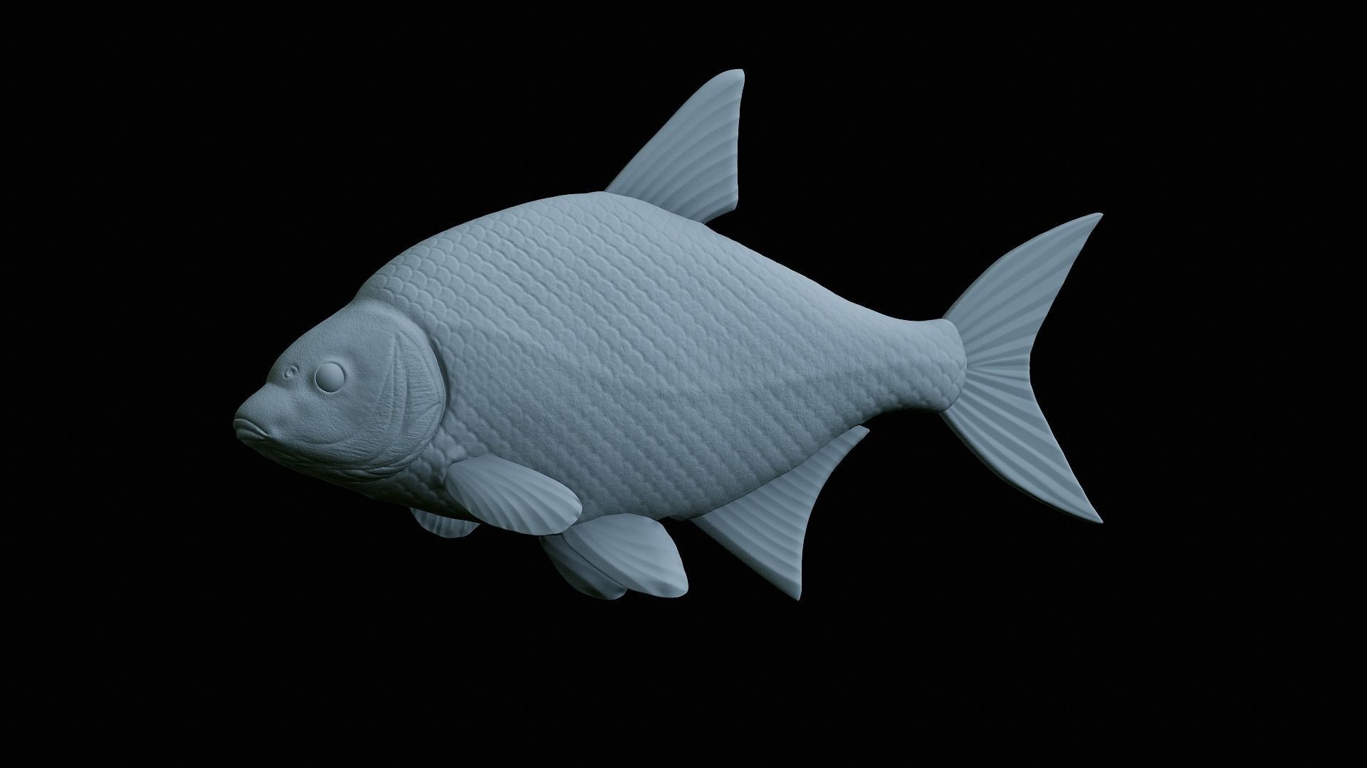 fish Common bream statue underwater detailed texture 3D print model_18