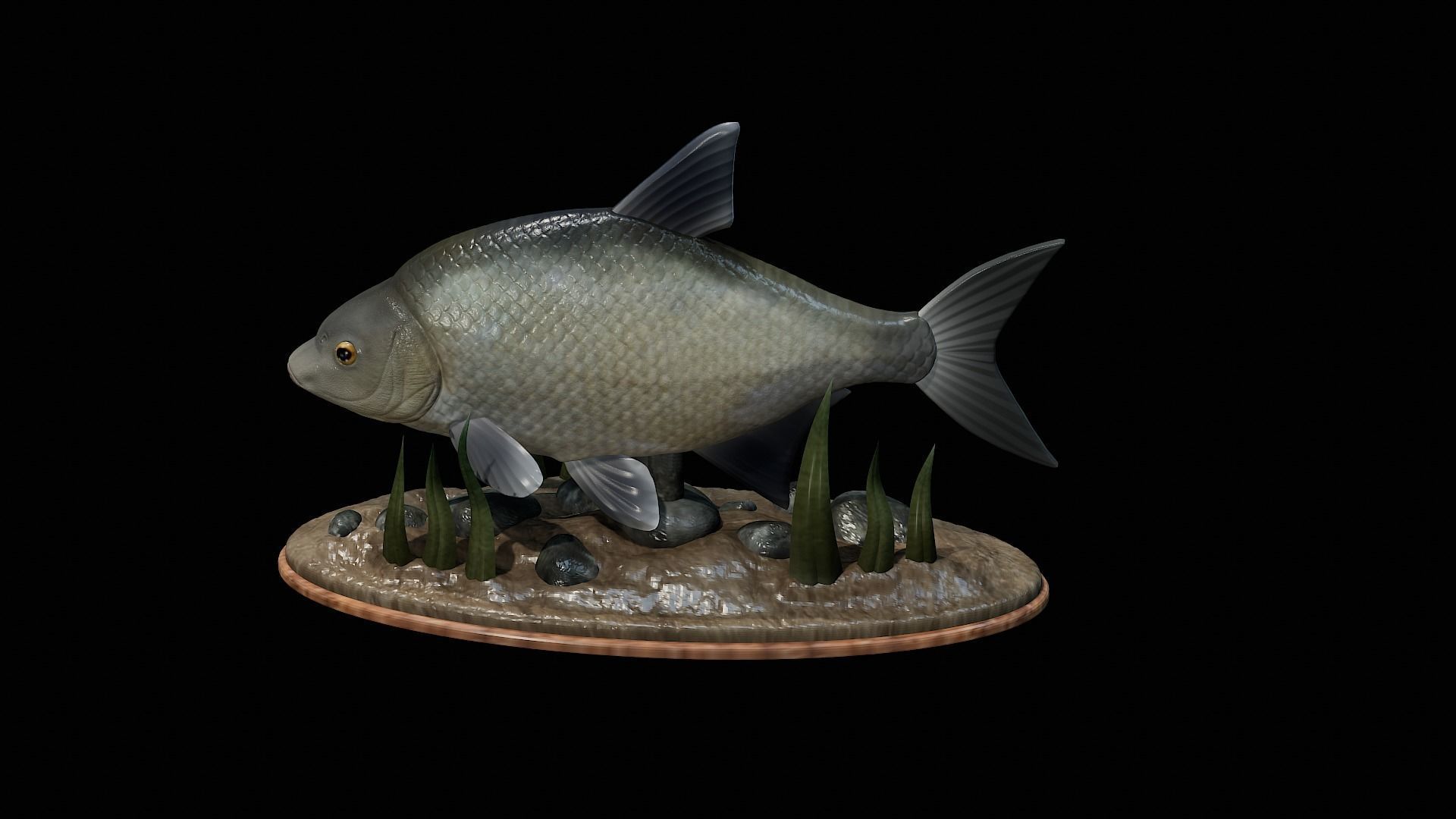 fish Common bream statue underwater detailed texture 3D print model_6