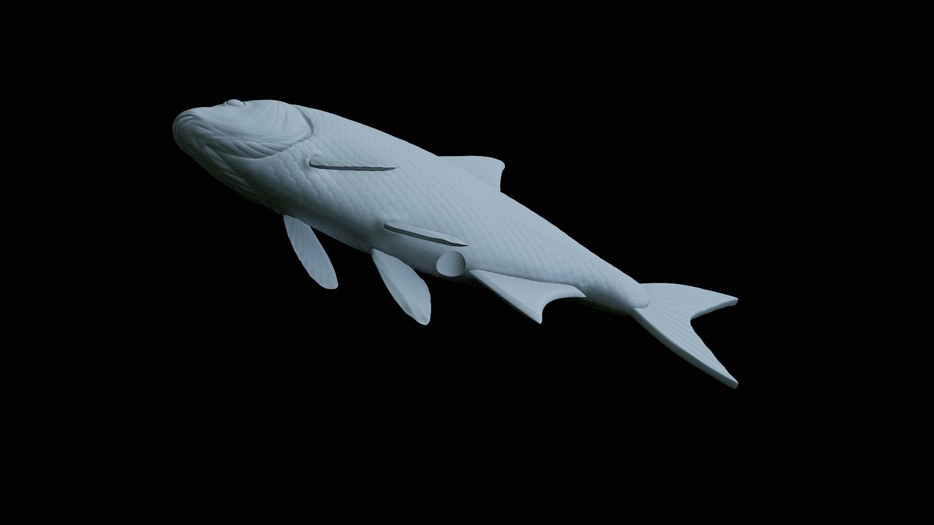 fish Common bream statue underwater detailed texture 3D print model_3