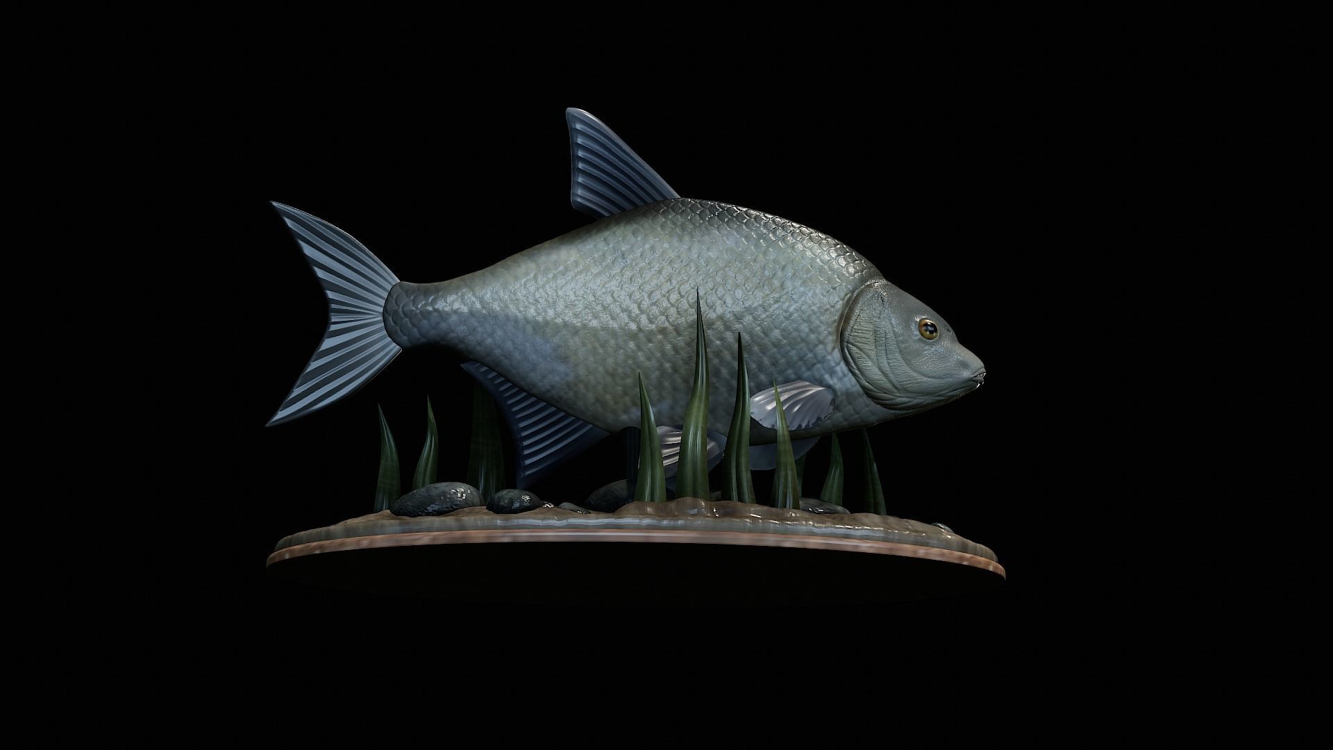fish Common bream statue underwater detailed texture 3D print model_23