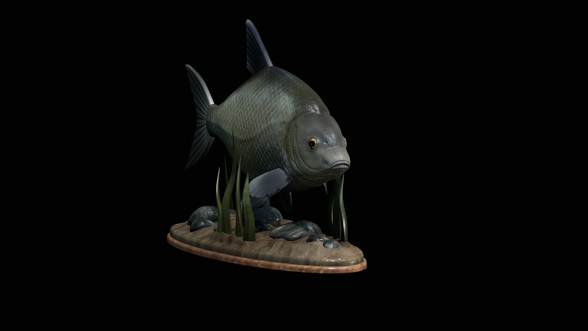 fish Common bream statue underwater detailed texture 3D print model_21