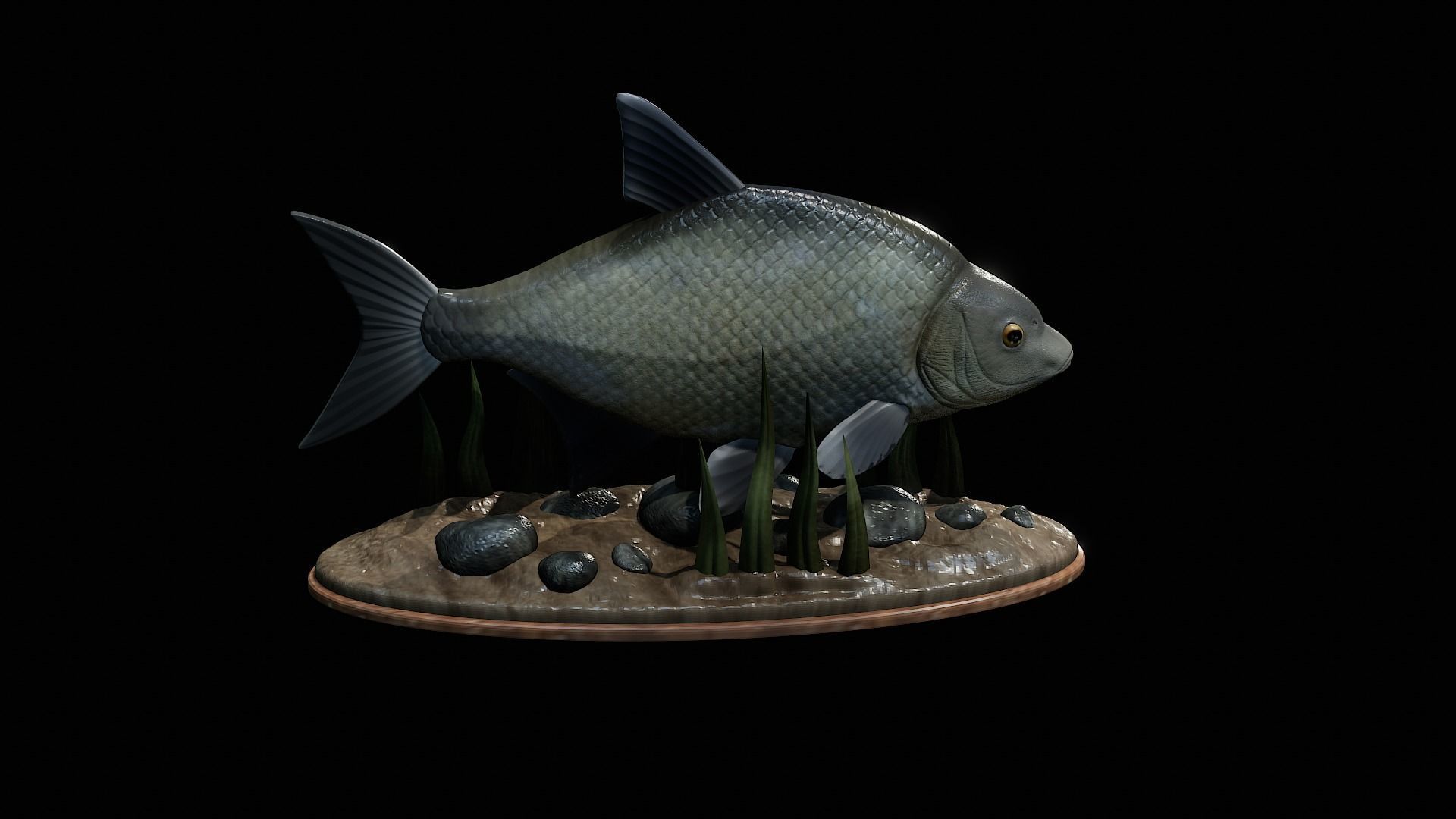 fish Common bream statue underwater detailed texture 3D print model_24