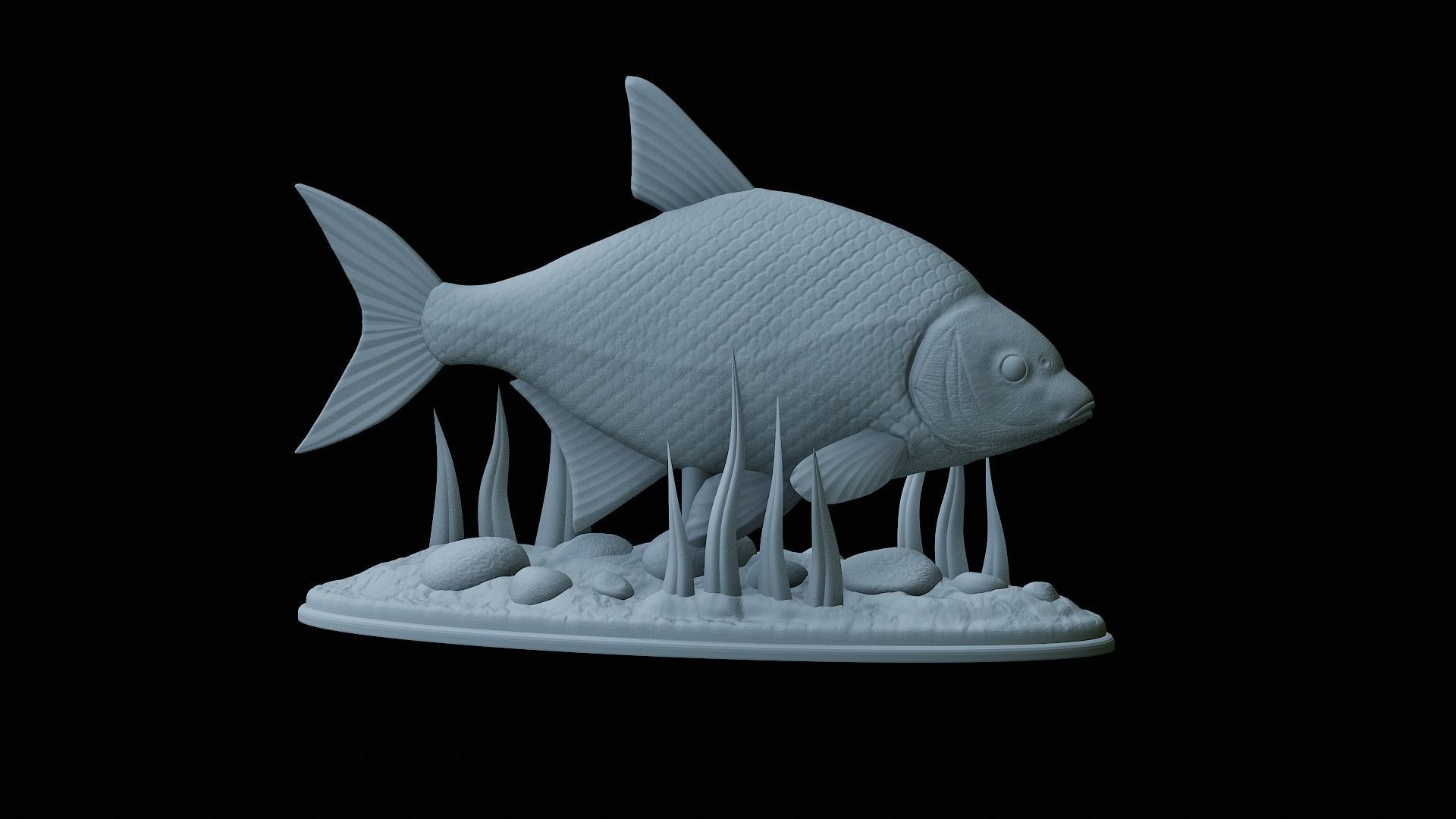 fish Common bream statue underwater detailed texture 3D print model_10