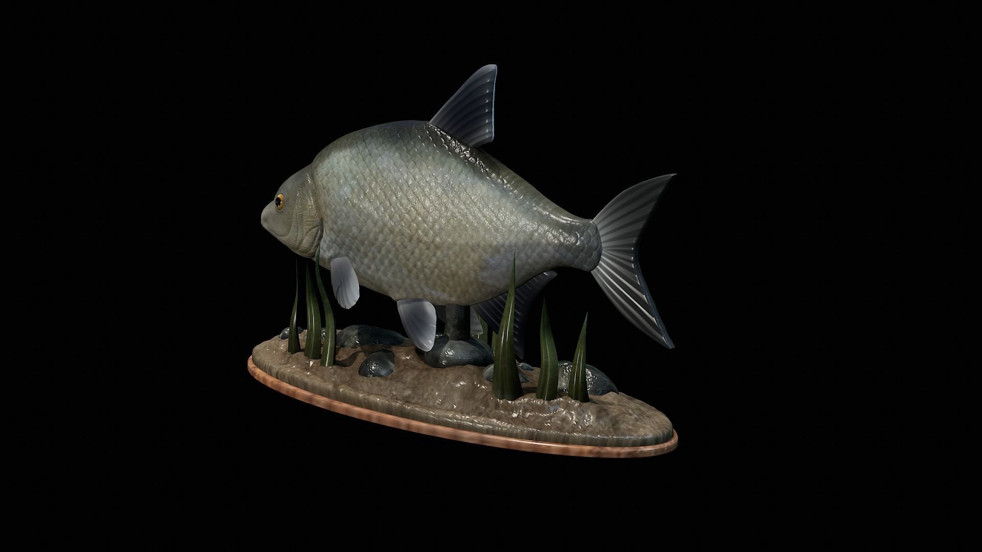 fish Common bream statue underwater detailed texture 3D print model_5