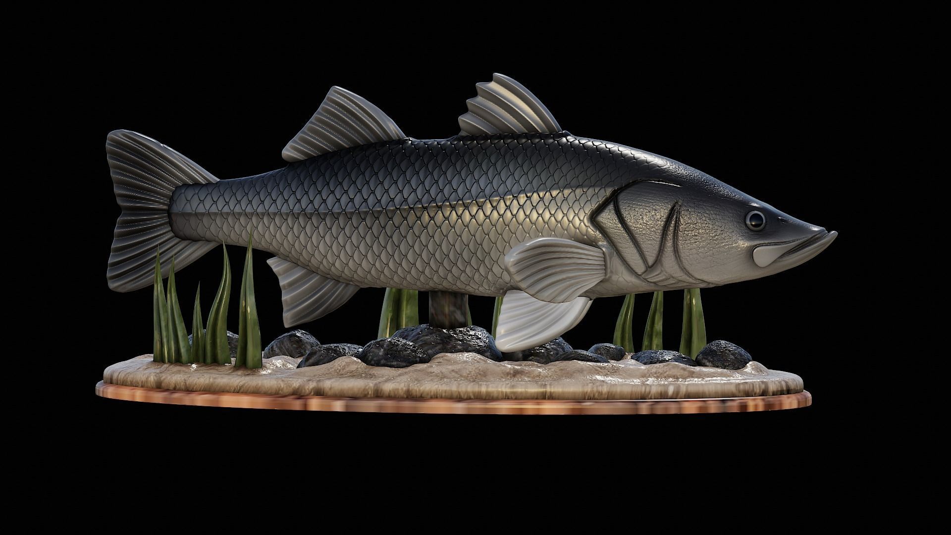 fish black snook statue underwater detailed texture 3D print model_47