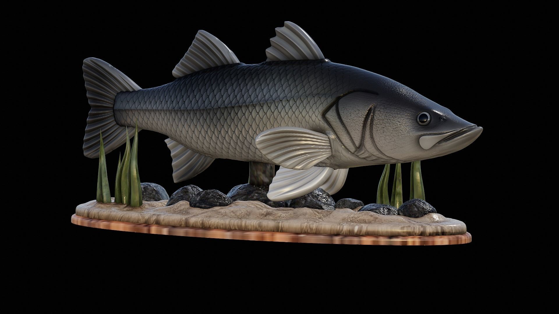 fish black snook statue underwater detailed texture 3D print model_46