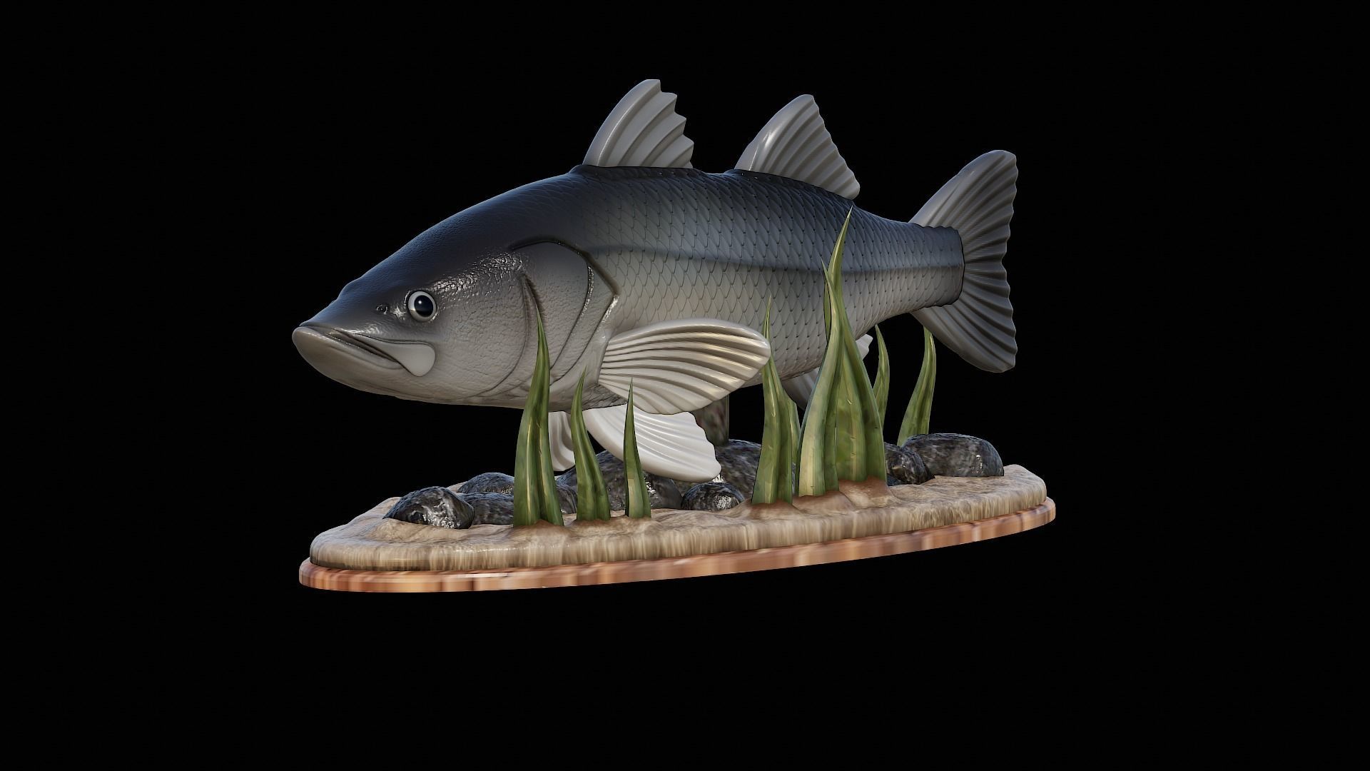 fish black snook statue underwater detailed texture 3D print model_14