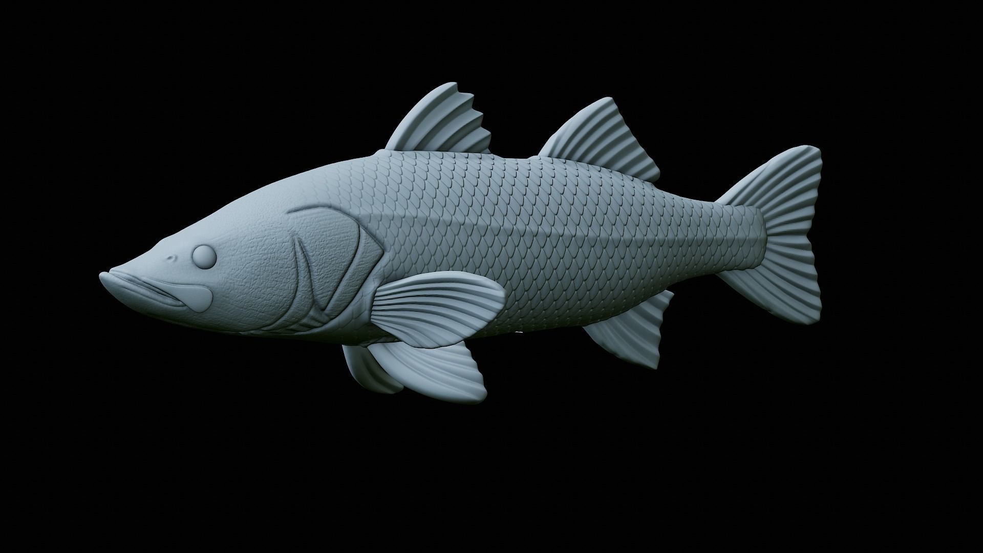 fish black snook statue underwater detailed texture 3D print model_40