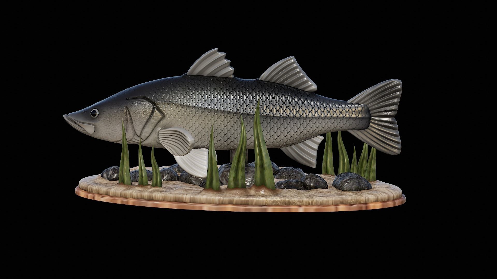 fish black snook statue underwater detailed texture 3D print model_10