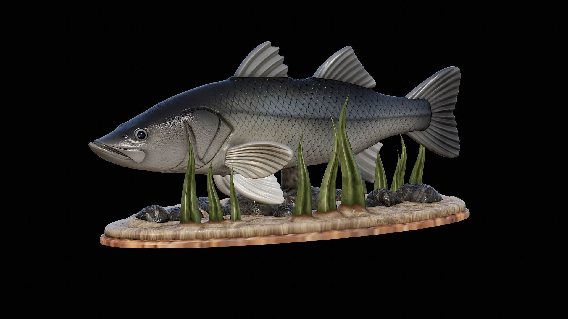 fish black snook statue underwater detailed texture 3D print model_48