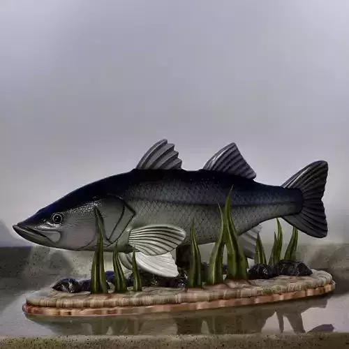 fish black snook statue underwater detailed texture 3D print model