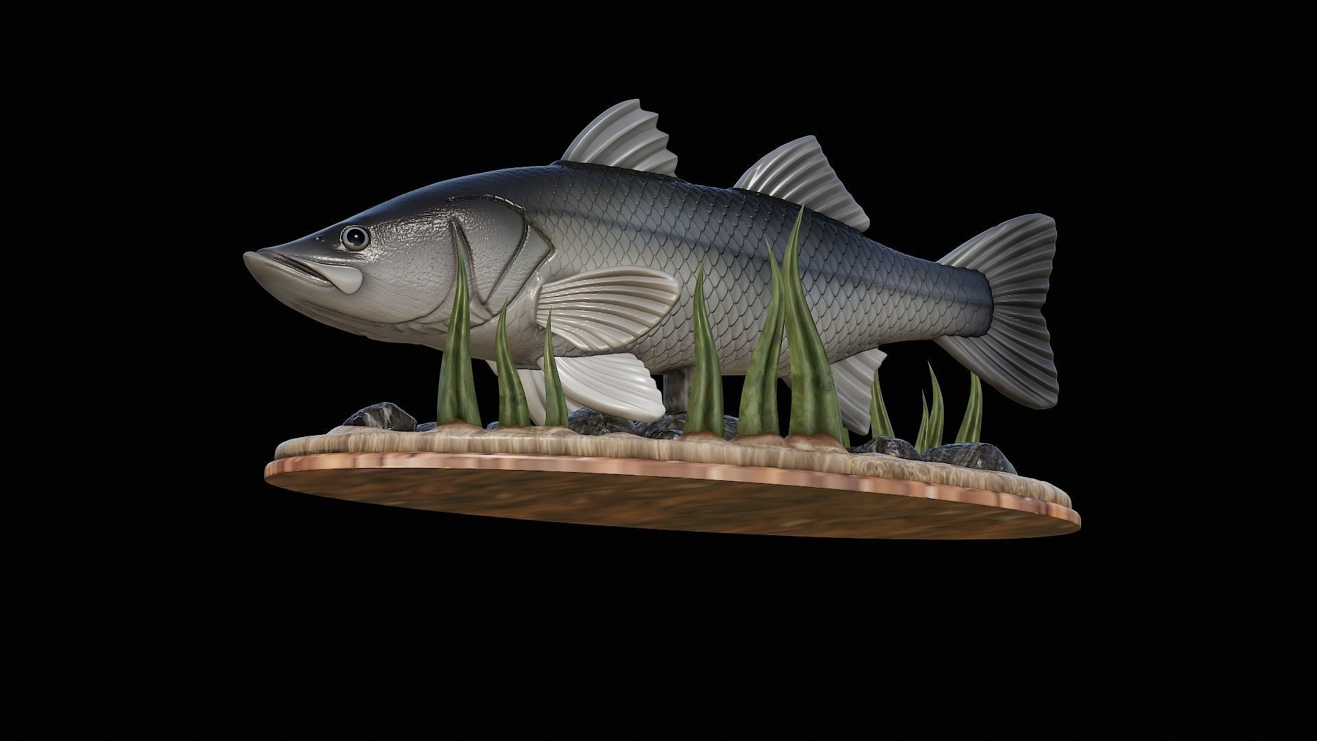 fish black snook statue underwater detailed texture 3D print model_11