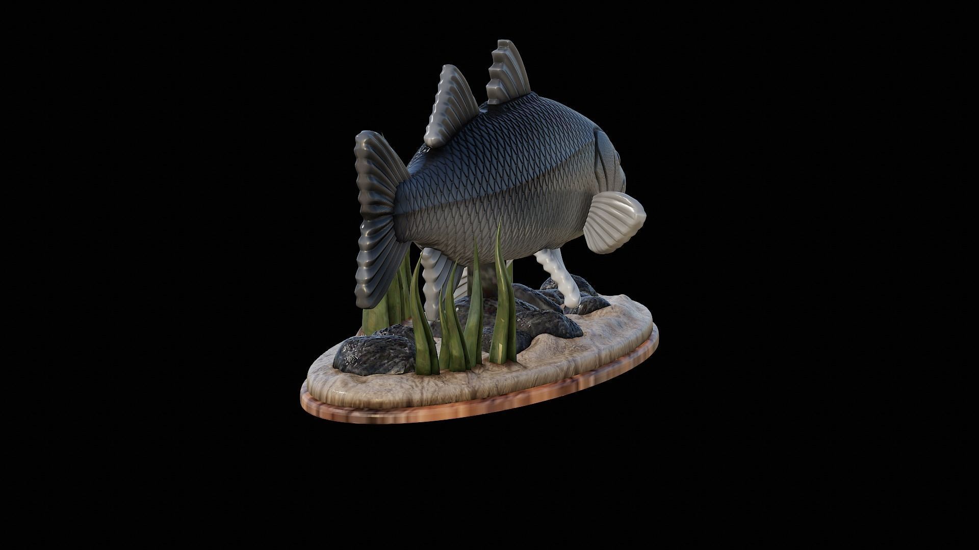fish black snook statue underwater detailed texture 3D print model_6