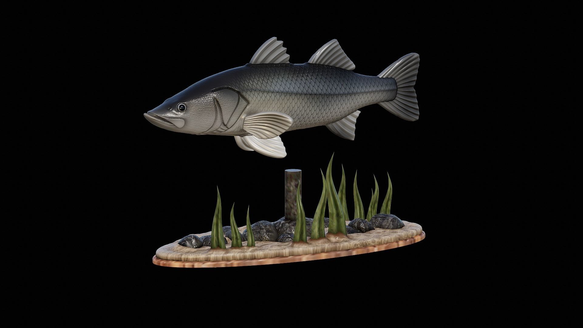 fish black snook statue underwater detailed texture 3D print model_2