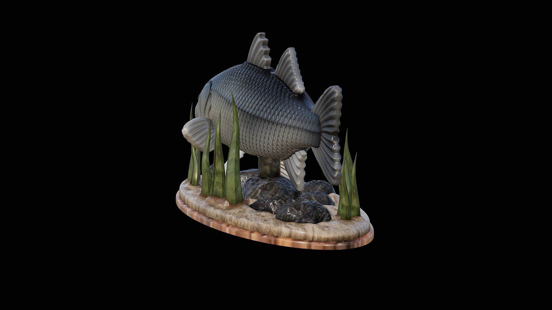 fish black snook statue underwater detailed texture 3D print model_8