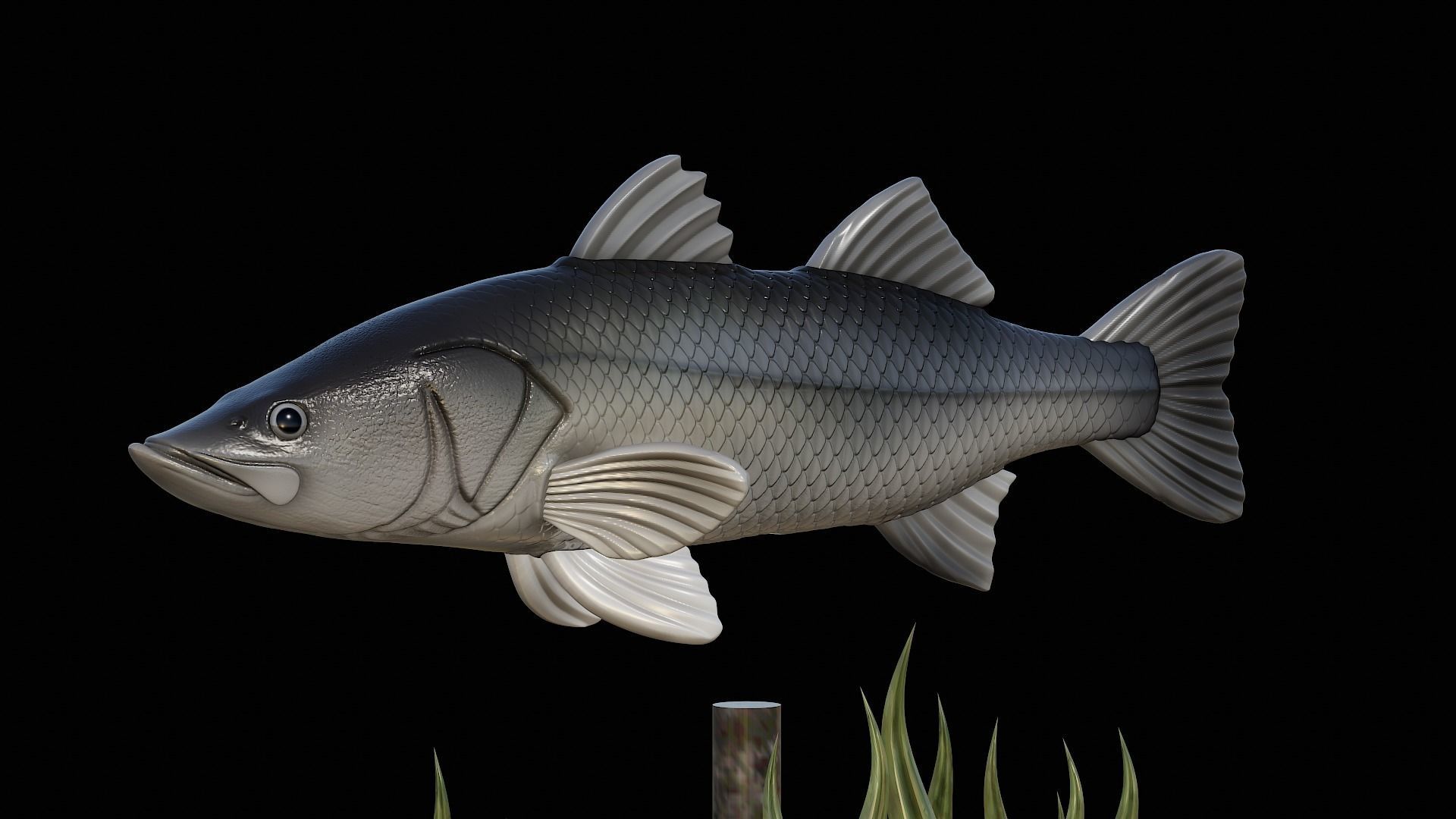 fish black snook statue underwater detailed texture 3D print model_17