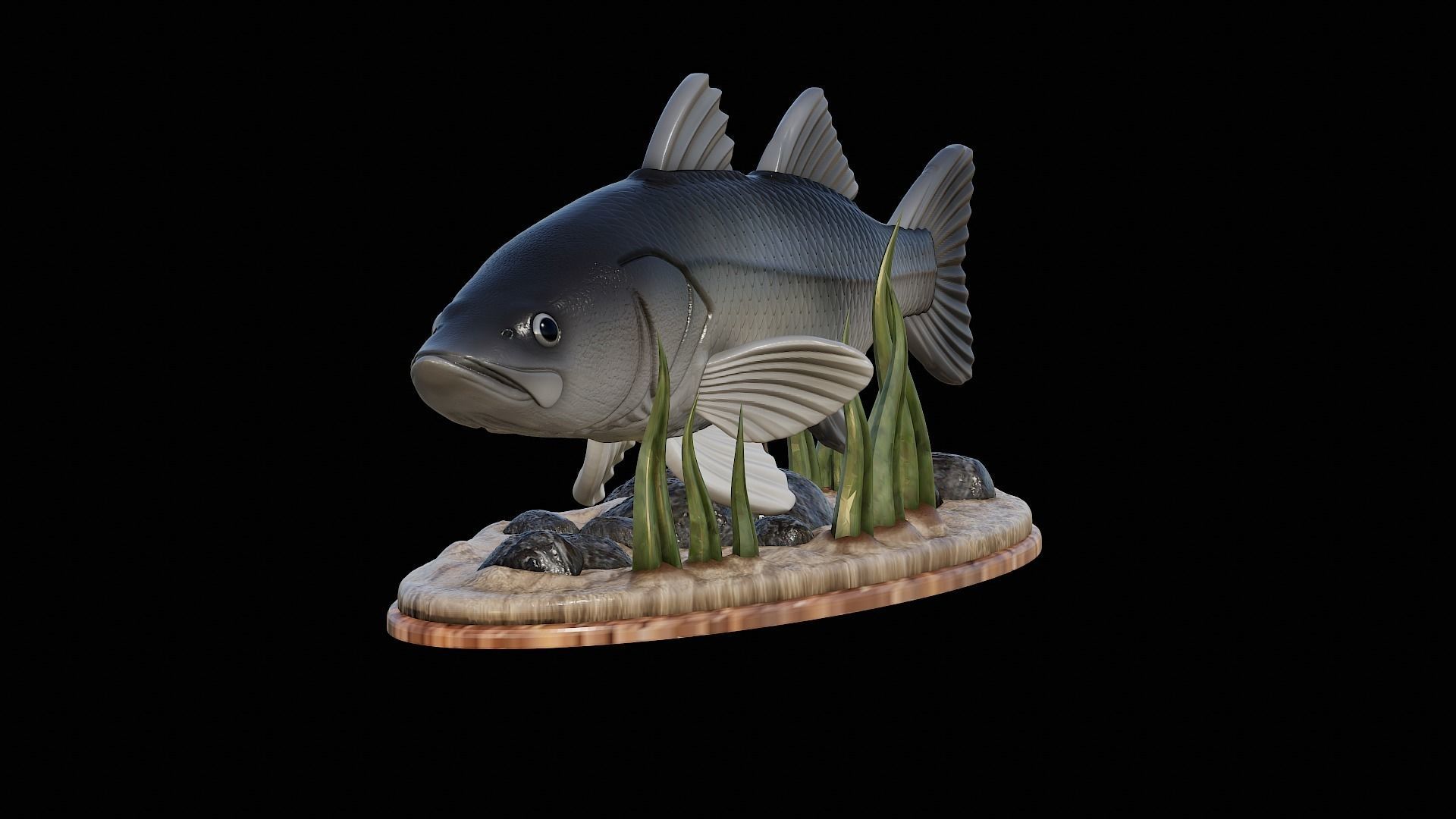 fish black snook statue underwater detailed texture 3D print model_24
