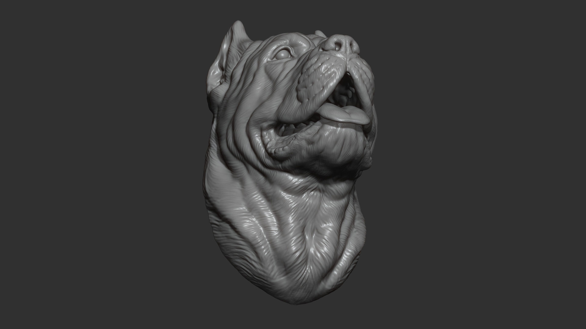 Canne Corso bust version 1 3D print model_6