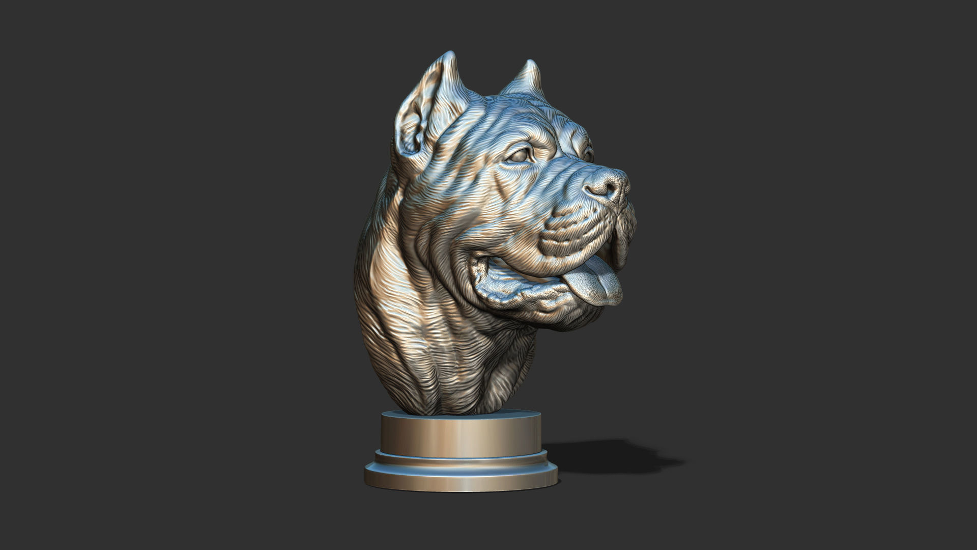 Canne Corso bust version 1 3D print model_20
