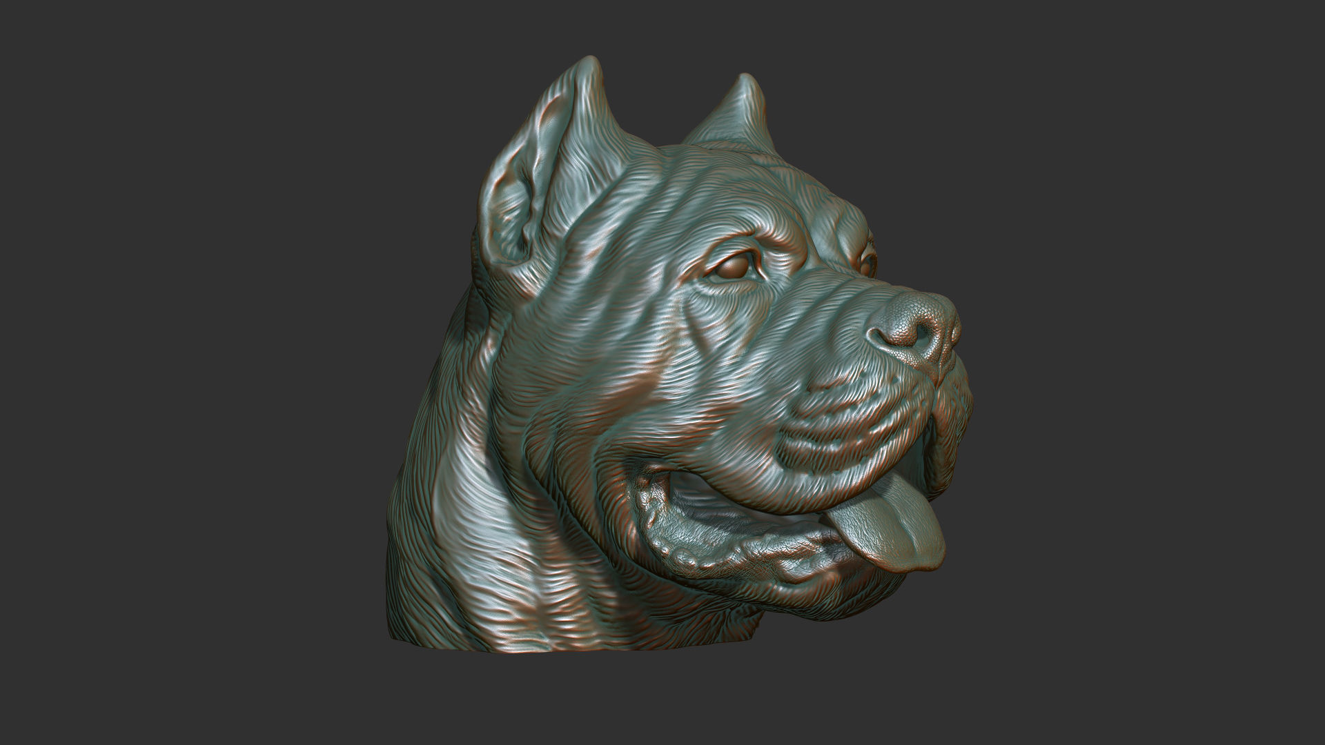 Canne Corso bust version 1 3D print model_12