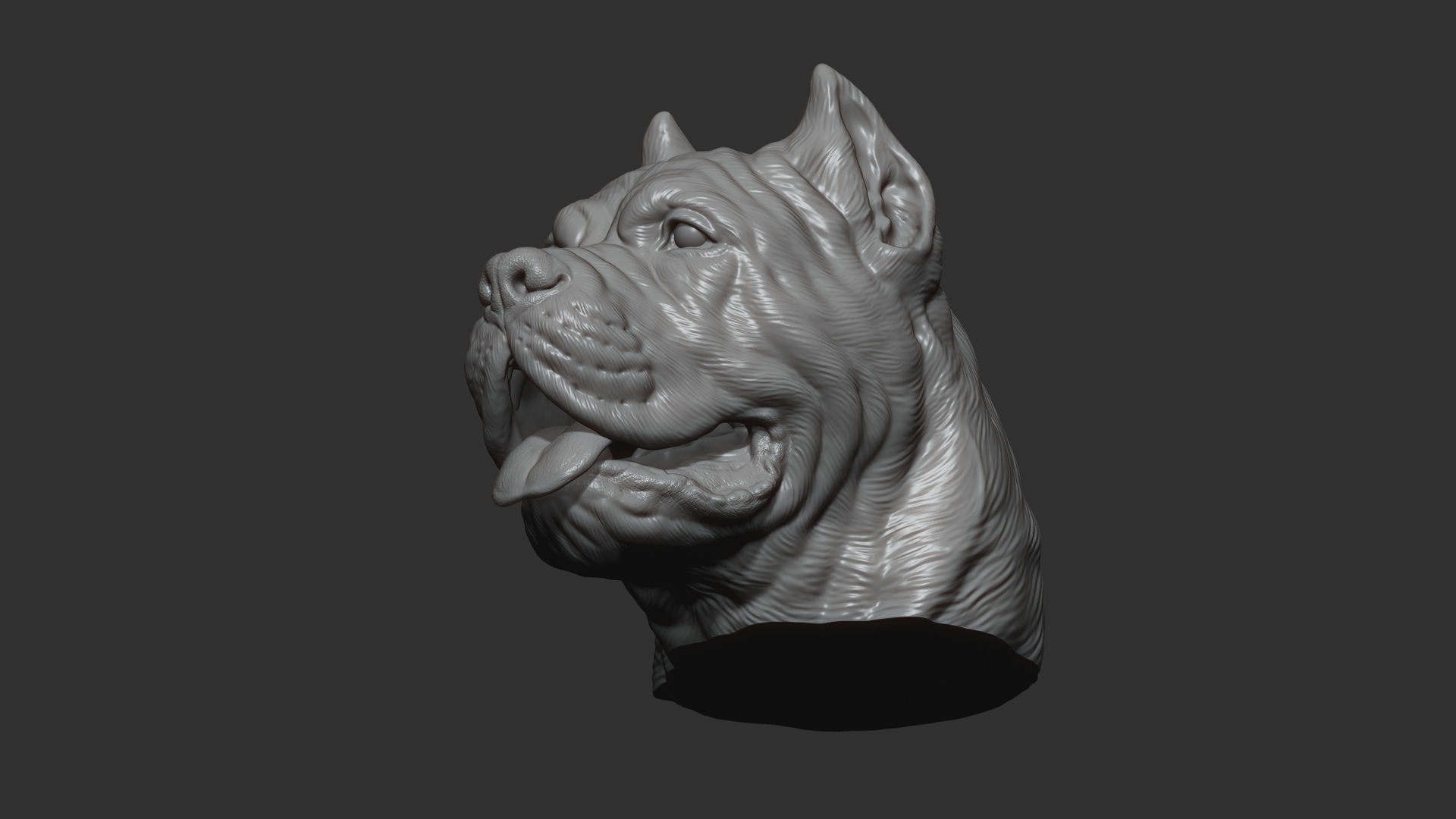 Canne Corso bust version 1 3D print model_10