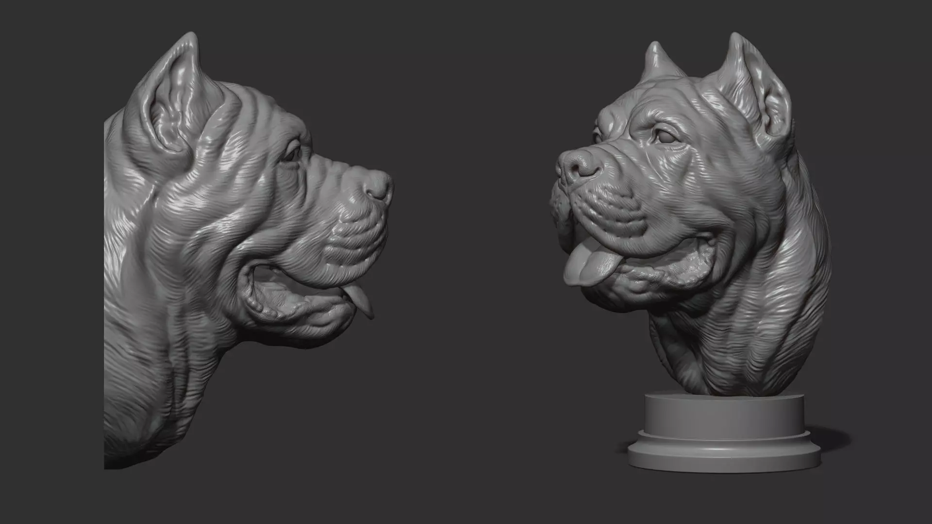 Canne Corso bust version 1 3D print model_0