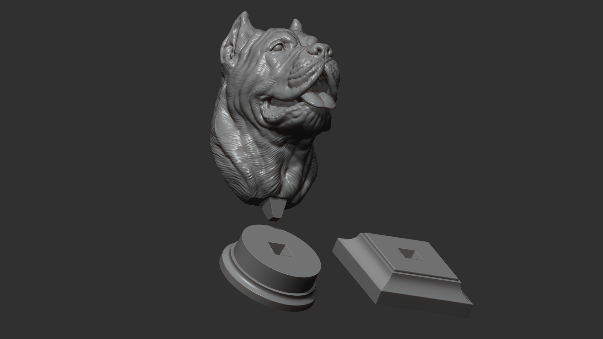 Canne Corso bust version 1 3D print model_14