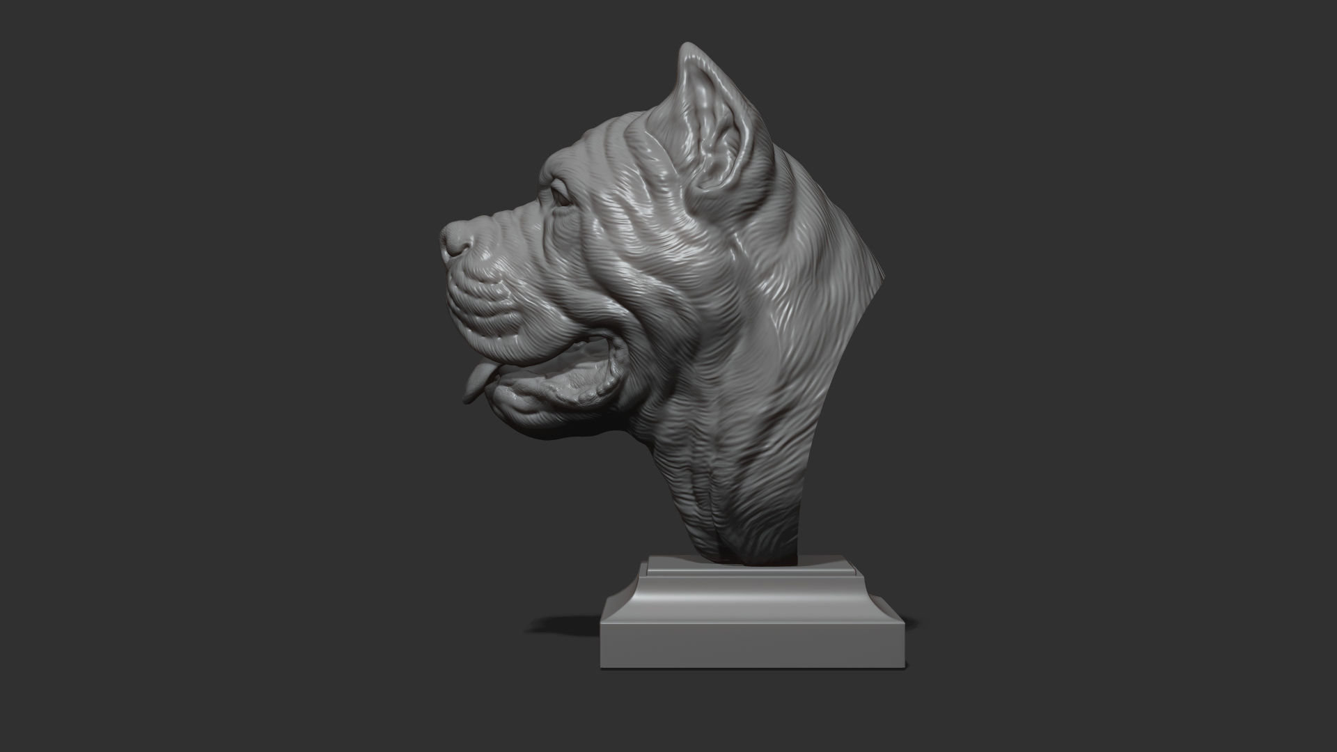Canne Corso bust version 1 3D print model_22