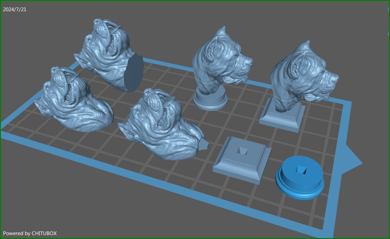 Canne Corso bust version 1 3D print model_1