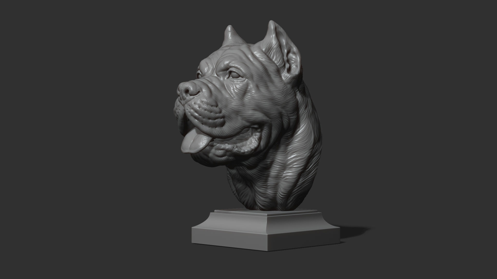 Canne Corso bust version 1 3D print model_21
