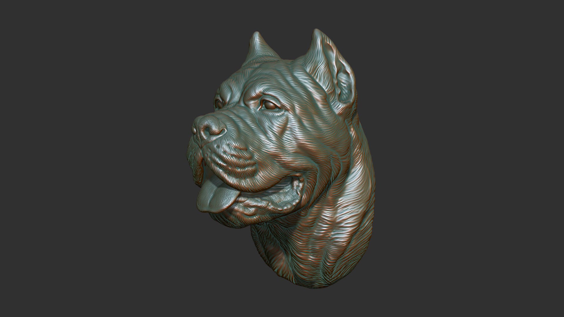 Canne Corso bust version 1 3D print model_2