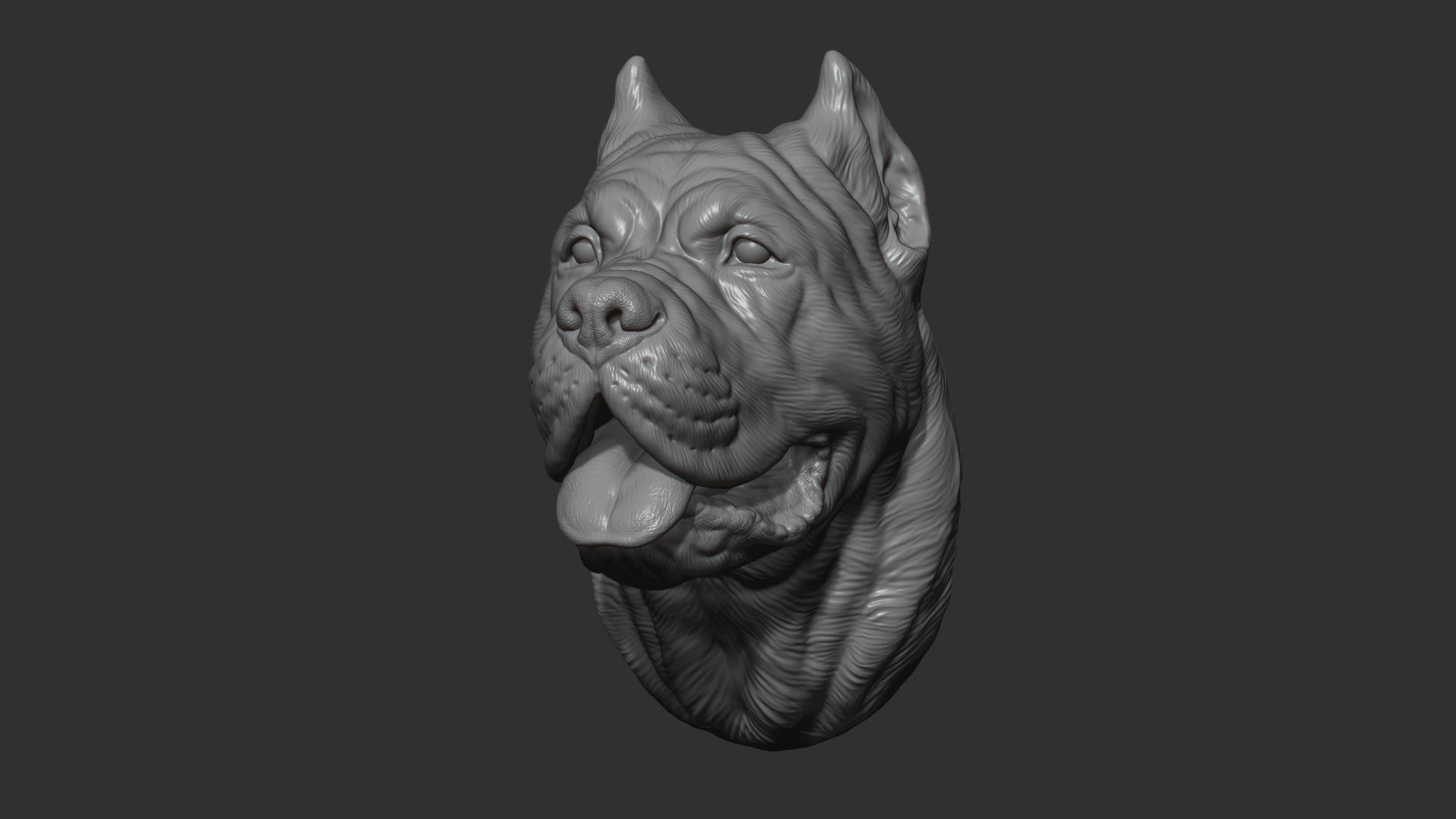 Canne Corso bust version 1 3D print model_8