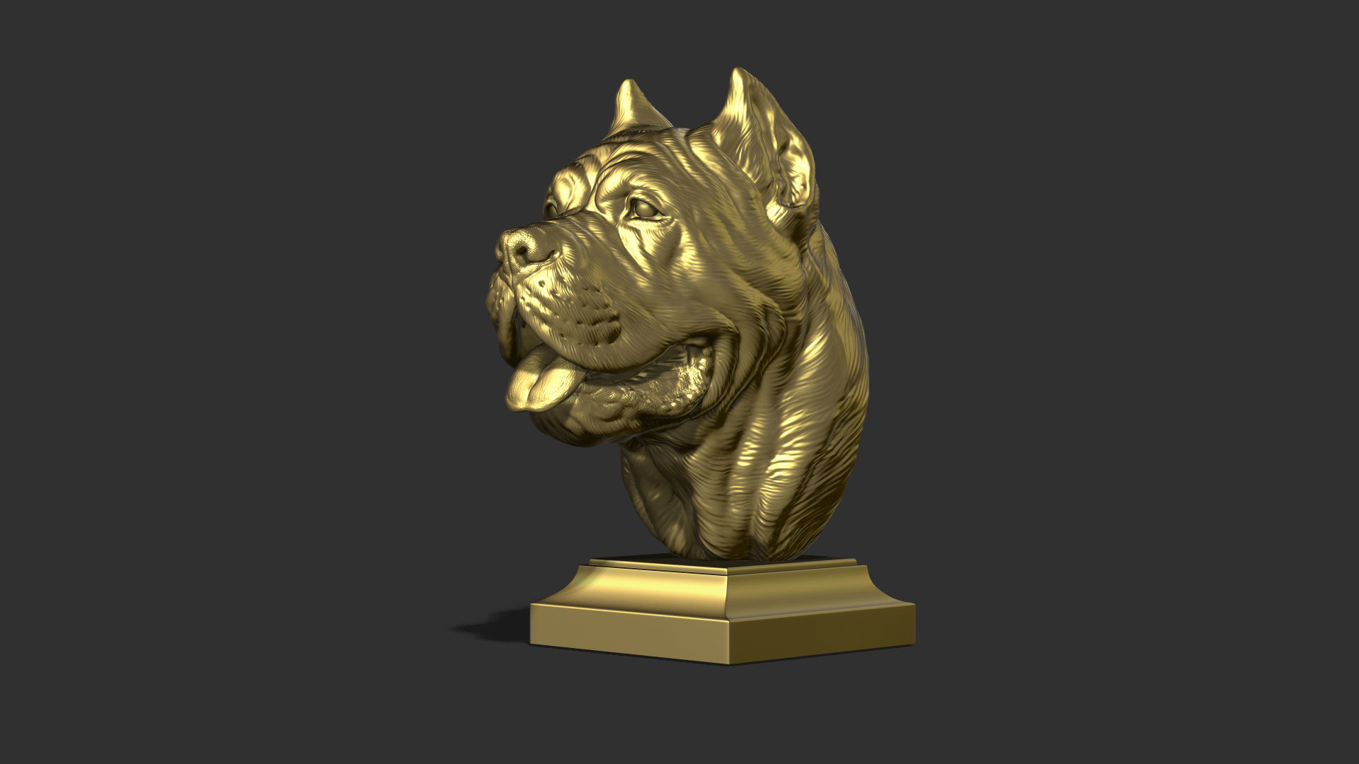 Canne Corso bust version 1 3D print model_25