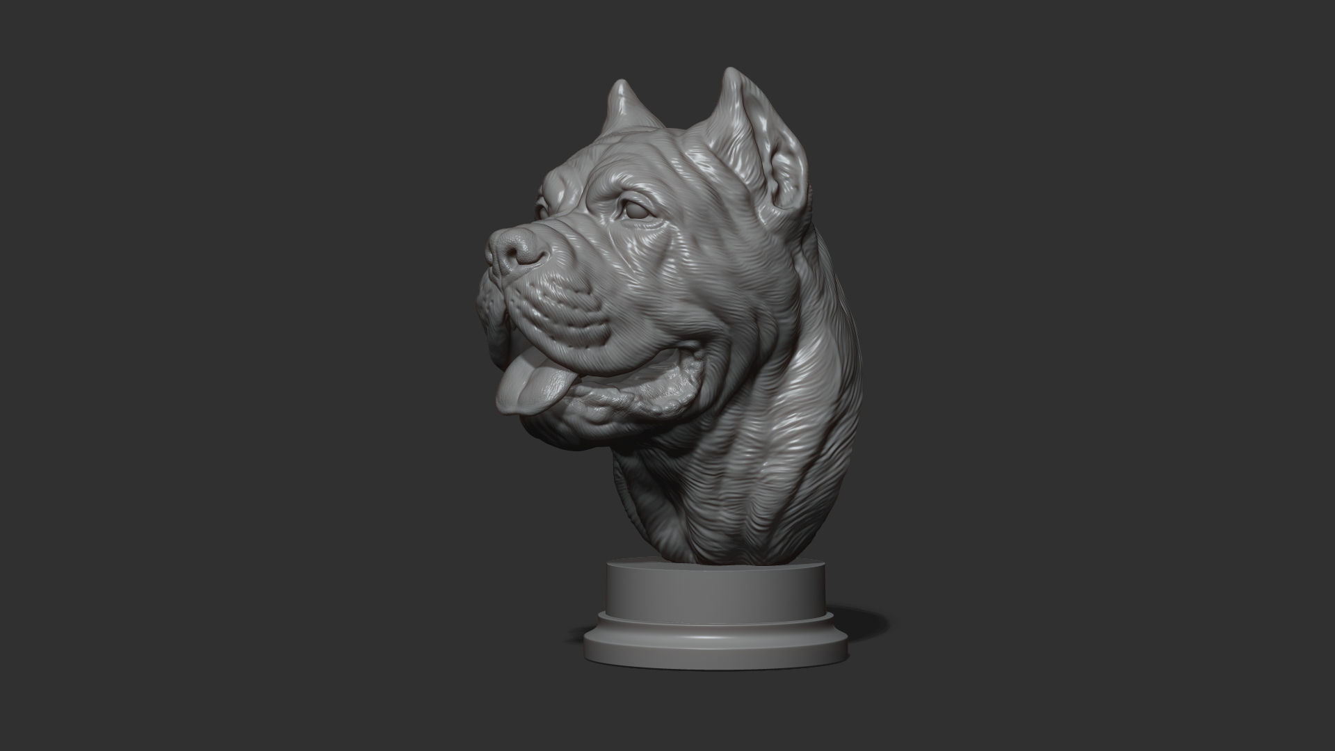 Canne Corso bust version 1 3D print model_15