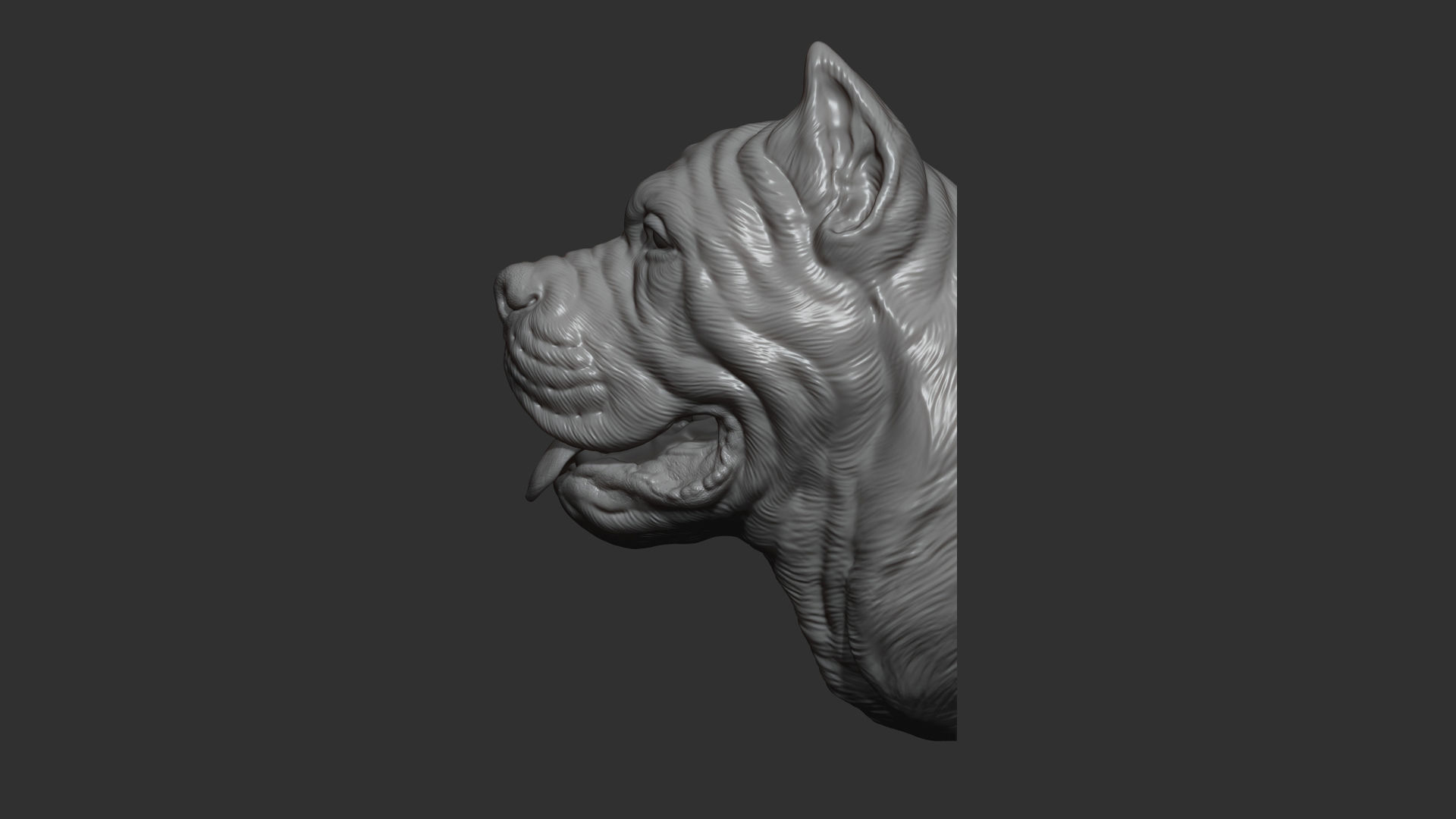 Canne Corso bust version 1 3D print model_5