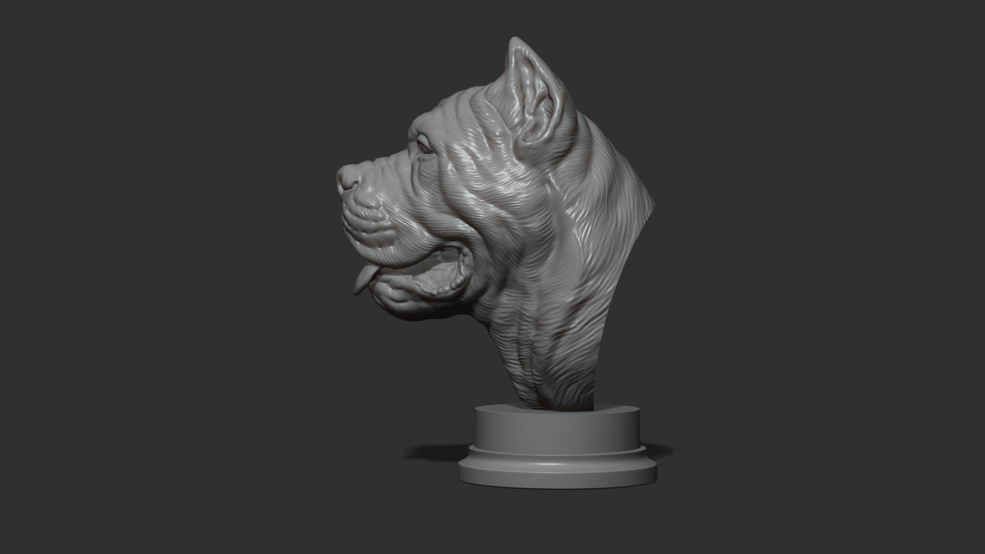 Canne Corso bust version 1 3D print model_17