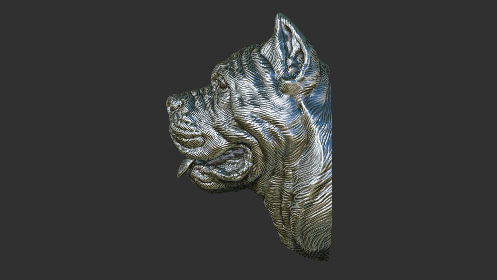 Canne Corso bust version 1 3D print model_4