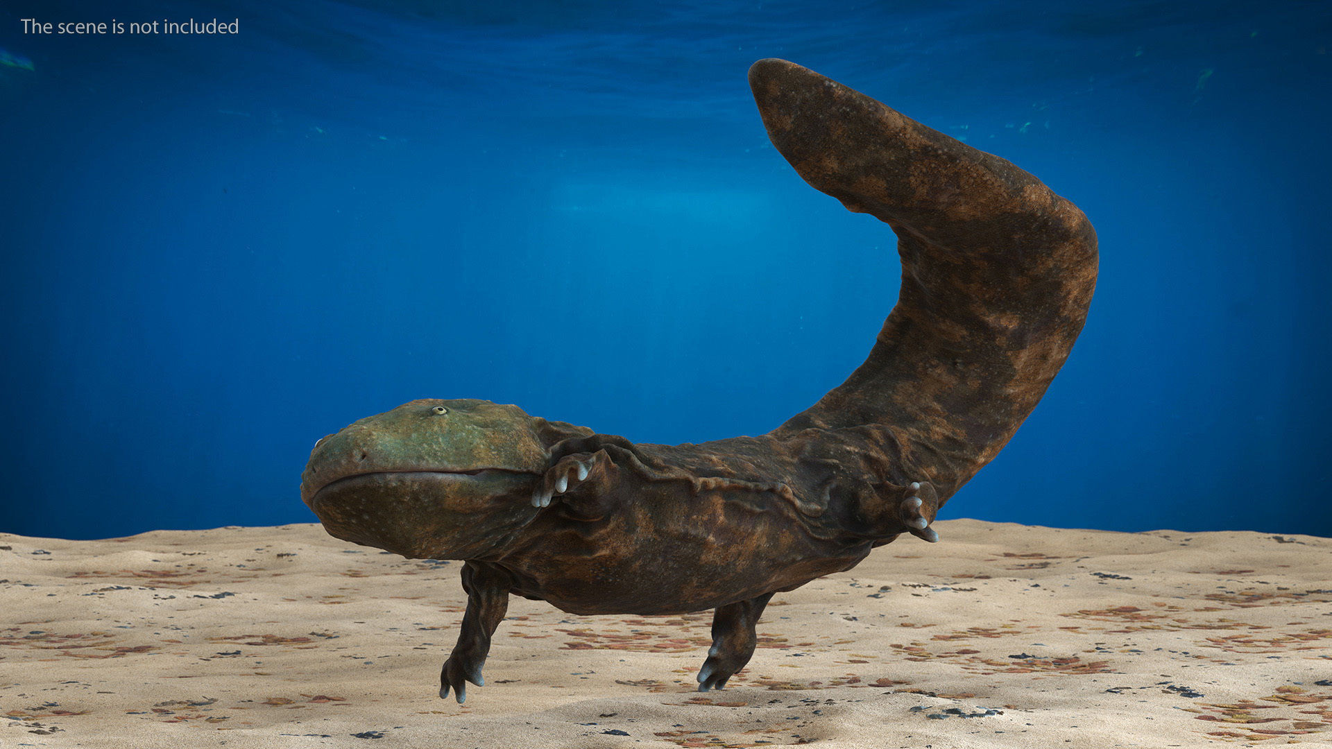 Aquatic Salamander Light Rigged for Maya 3D model