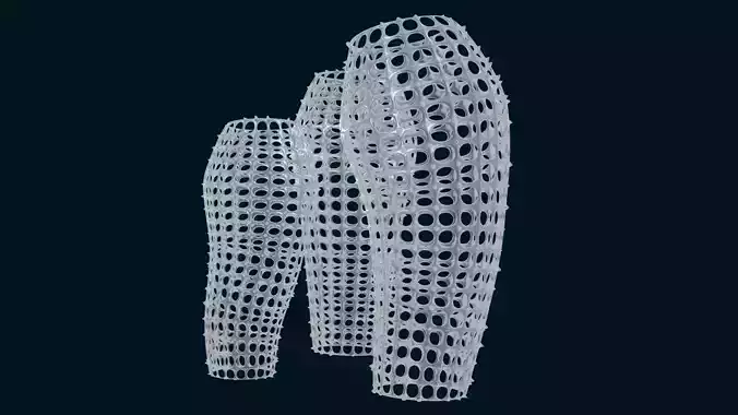 Sea Sponge Hexactinellida 3D model