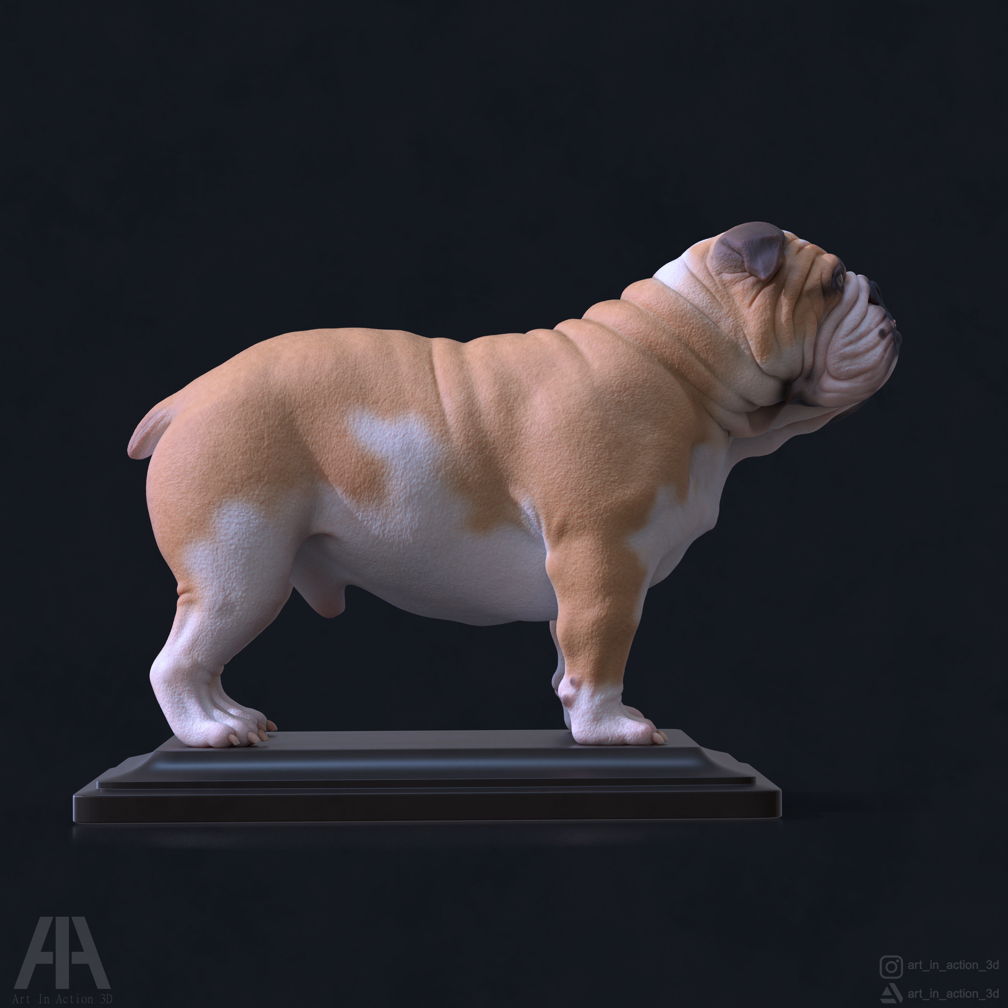 ENGLISH BULLDOG 3D print model_2