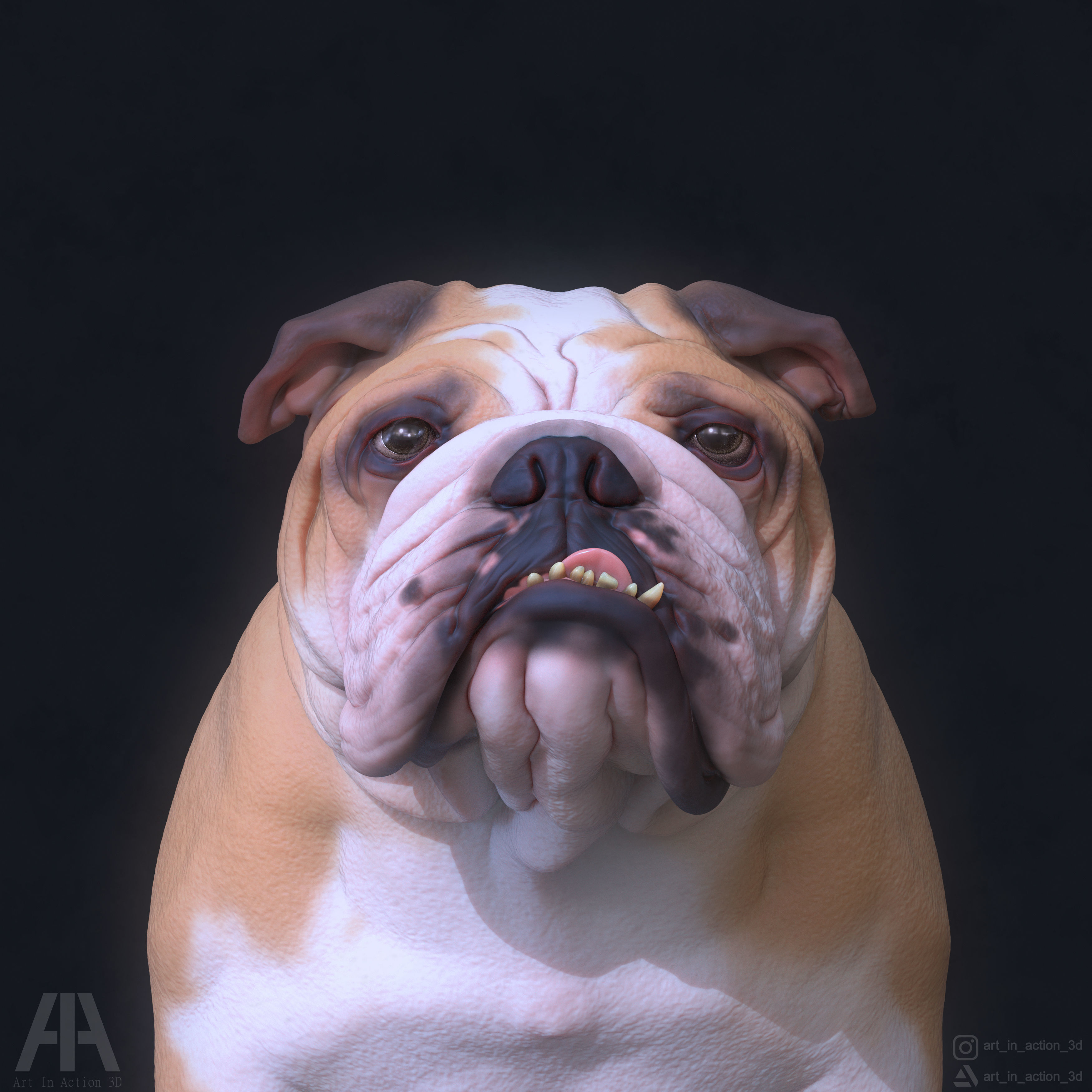 ENGLISH BULLDOG 3D print model_4