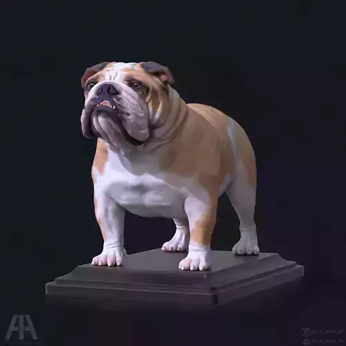 ENGLISH BULLDOG 3D print model
