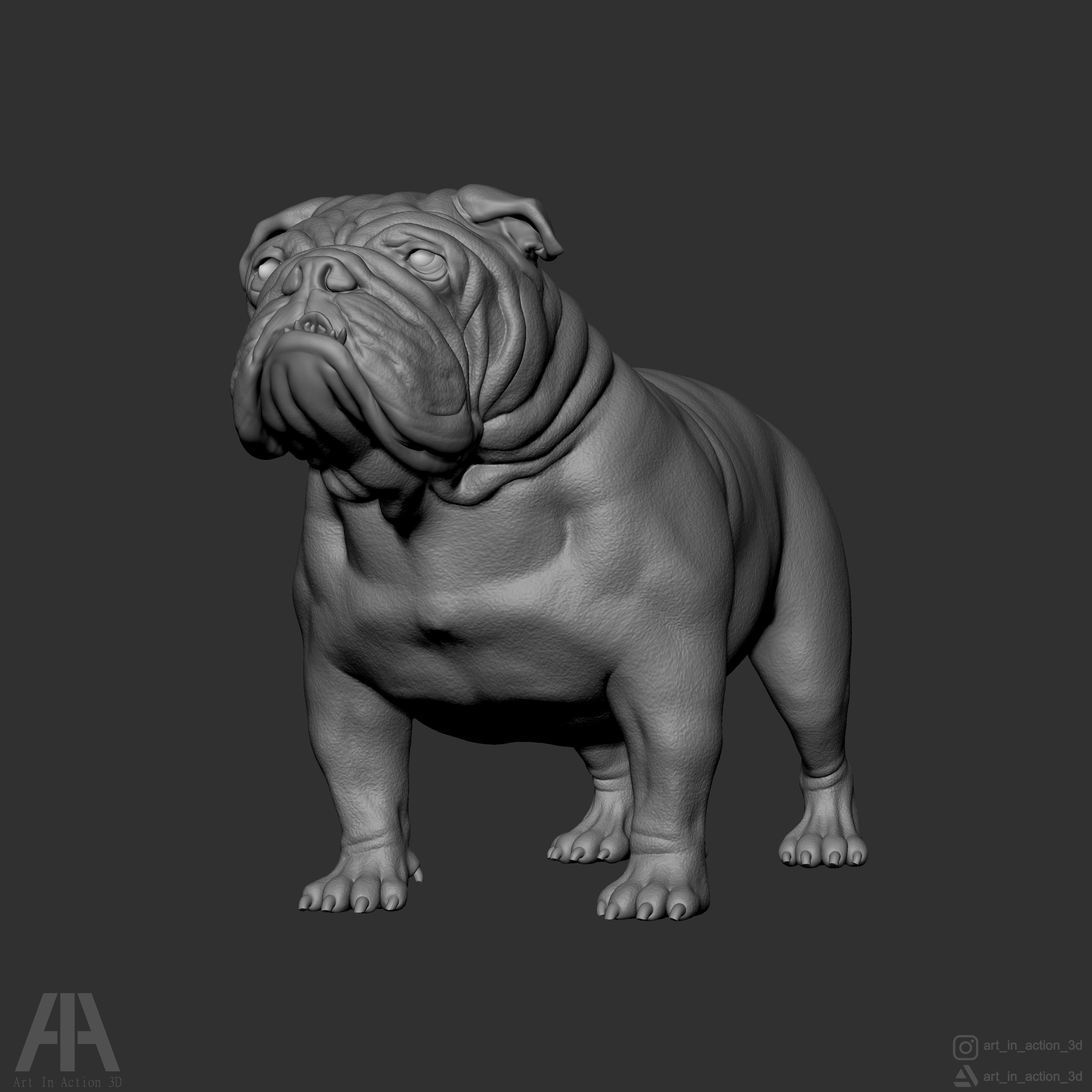 ENGLISH BULLDOG 3D print model_5
