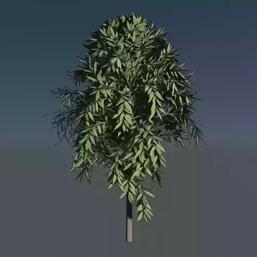 Simple tree 24L06 3D model