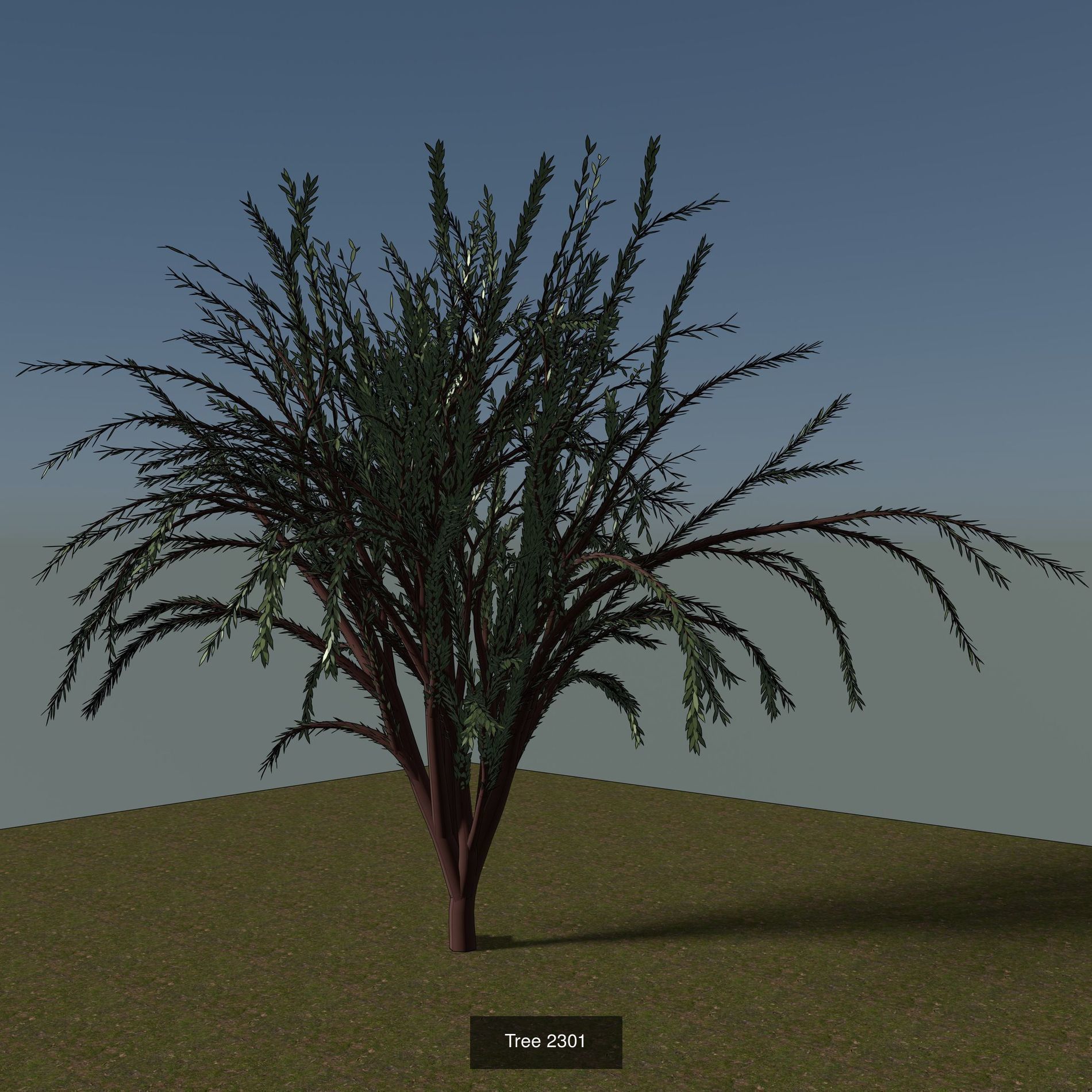 Simple tree 3D Model Collection_3