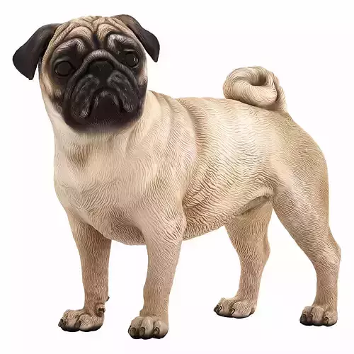 Pug dog figurine