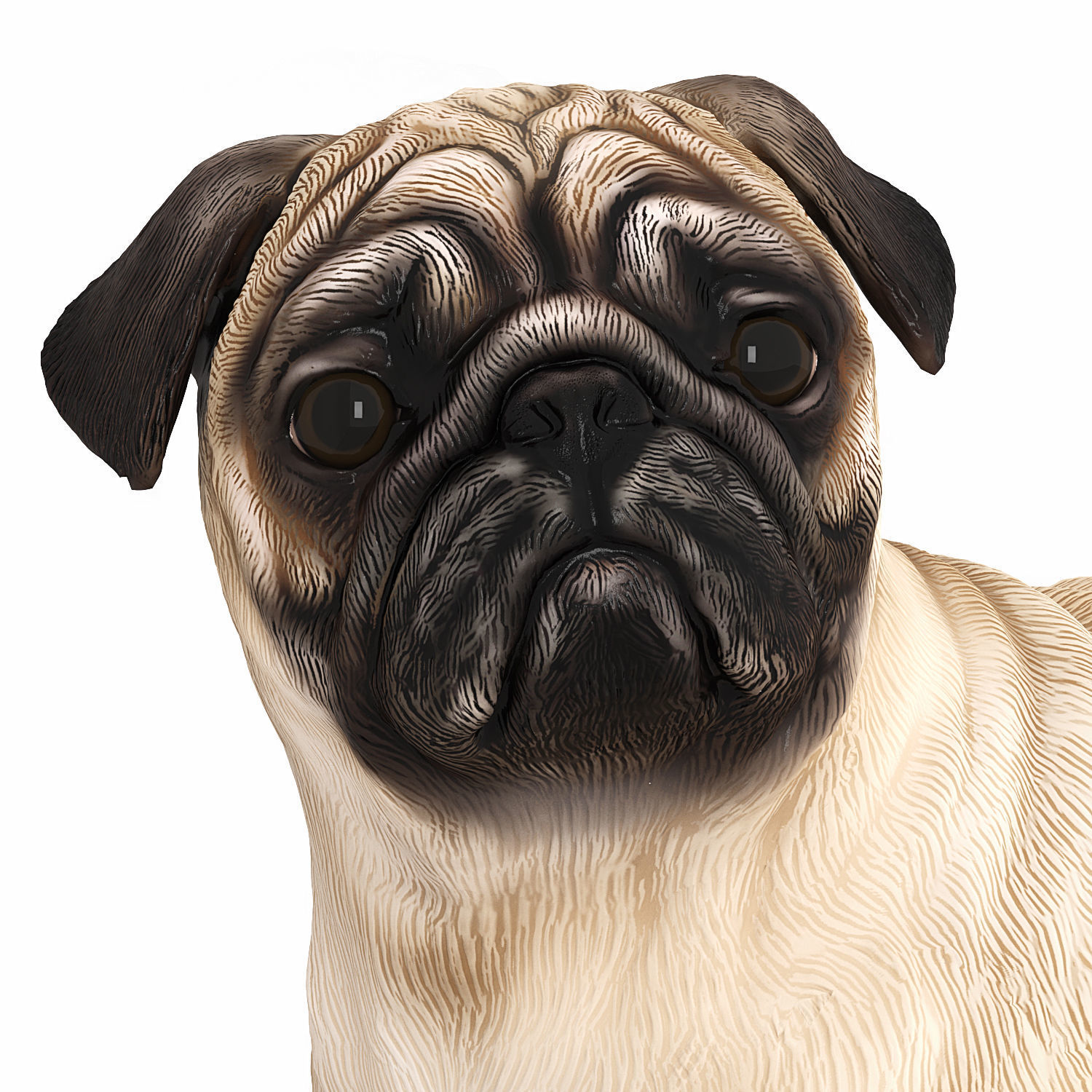 Pug dog figurine 3D model_3