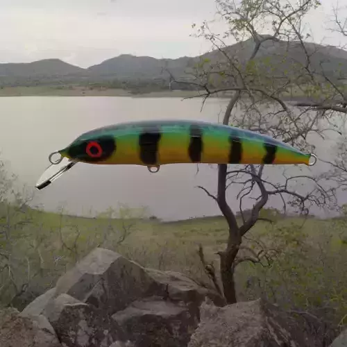 Custom bait 3D print model